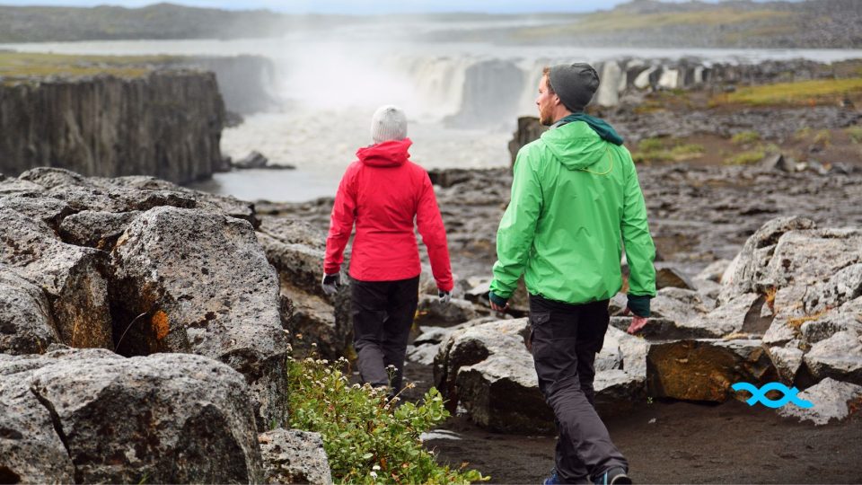 Arctic Therapeutics: Leading the charge in precision medicine