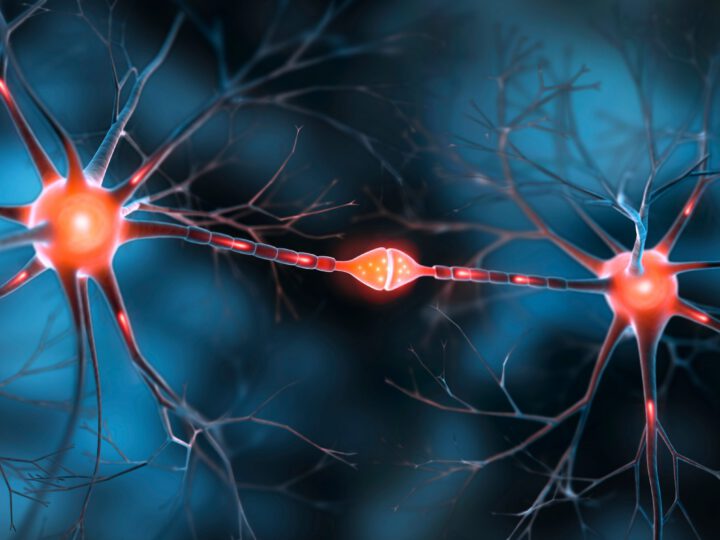 A Consortium Including Arctic Therapeutics Launches Synaptiq with Acquisition of Clinical-Stage SYN-001 Program
