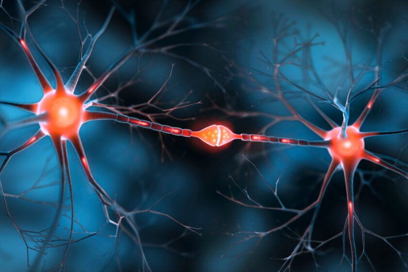 A Consortium Including Arctic Therapeutics Launches Synaptiq with Acquisition of Clinical-Stage SYN-001 Program